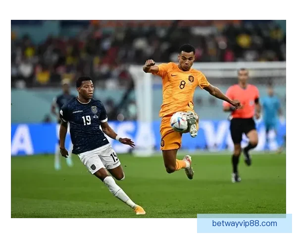 Betway世界杯竞猜助你精准预测赛事走向 赢取丰厚奖金与精彩体验