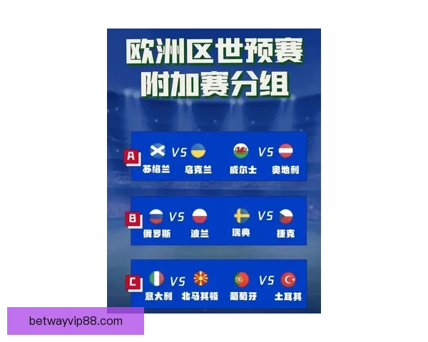 必威体育世界杯投注攻略全面解析投注技巧与风险控制指南实战经验分享