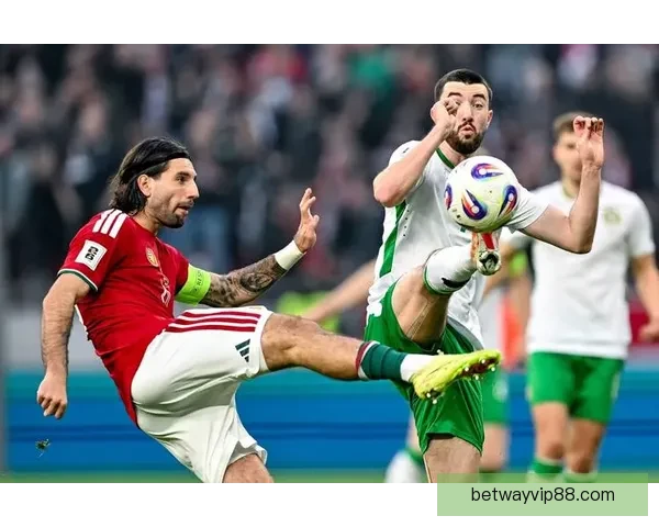 世界杯足球赛全程竞猜策略与热门对阵胜负预测指南