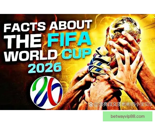 世界杯赛事预测与分析深度解析投注策略与球队表现趋势